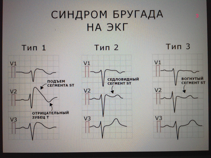 IMG_2736.PNG