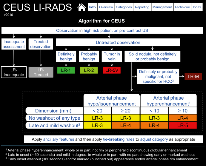 Система данных, изображений и отчета по исследованию печени LI-RADS