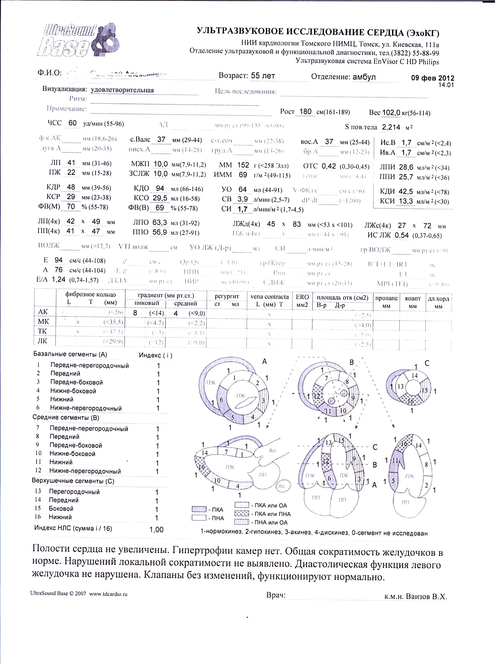 Протокол эхокардиографии образец
