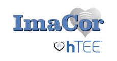 ImaCor Inc.