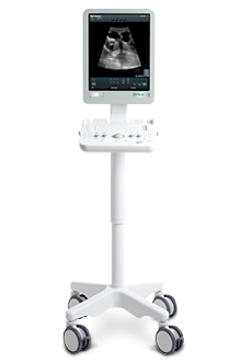Flex Focus 200