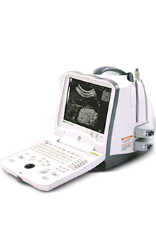 DP-6600