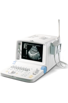 SSI-600