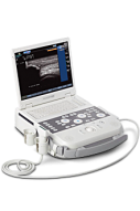 Acuson P300