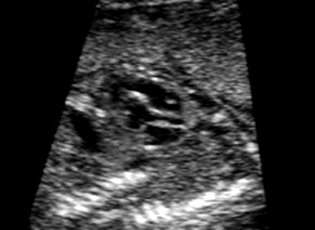 sm634249902326406250.jpg