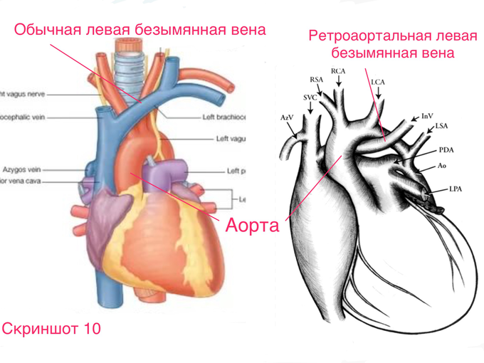 IMG_0070.PNG