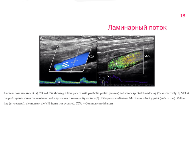IMG_0100.PNG
