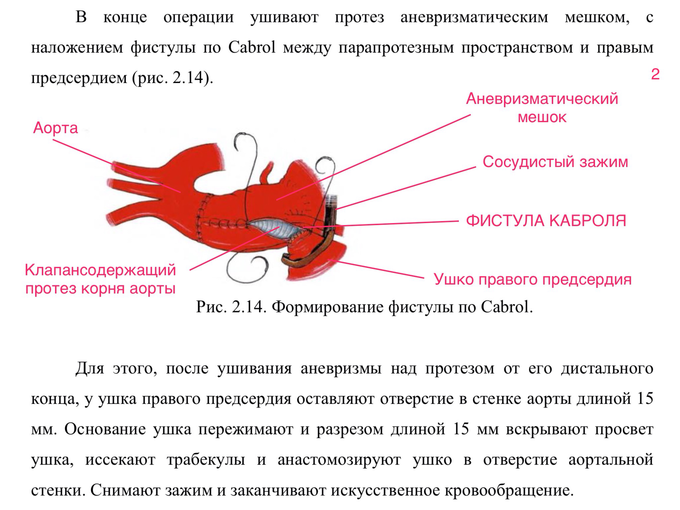 IMG_0200.PNG
