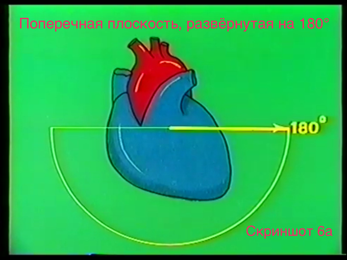 Чп эхо кг исследование что это и подготовка к нему. Смотреть фото Чп эхо кг исследование что это и подготовка к нему. Смотреть картинку Чп эхо кг исследование что это и подготовка к нему. Картинка про Чп эхо кг исследование что это и подготовка к нему. Фото Чп эхо кг исследование что это и подготовка к нему