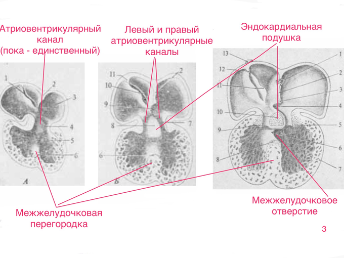 IMG_0348.PNG
