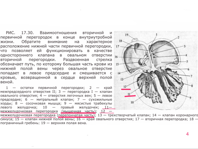 IMG_0349.PNG