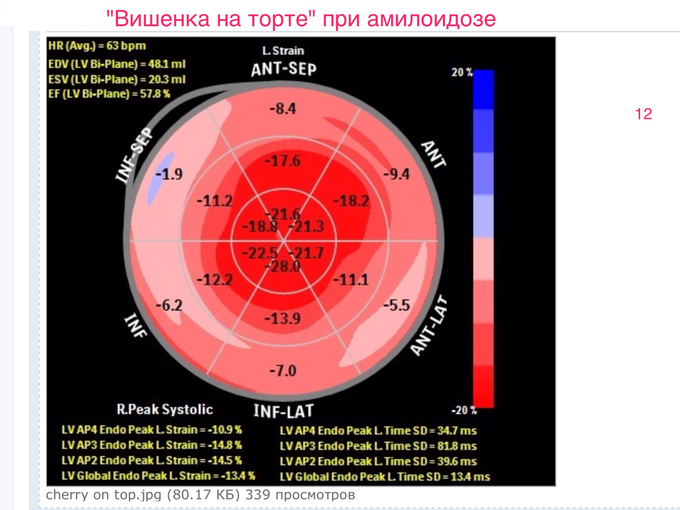 IMG_0427.PNG