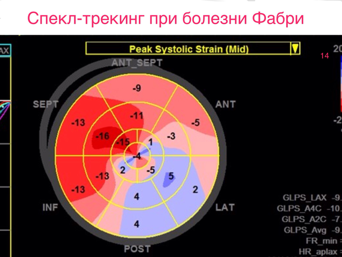 IMG_0429.PNG