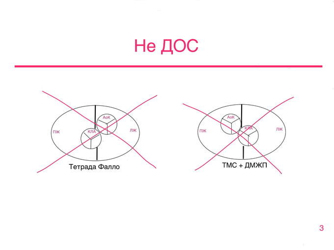 IMG_0557.PNG