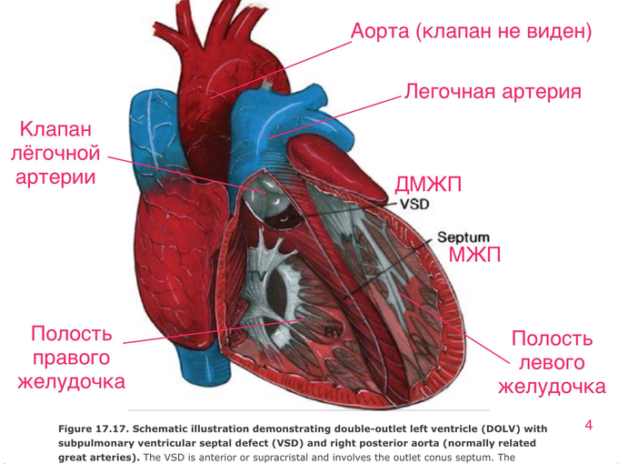 IMG_0558.PNG