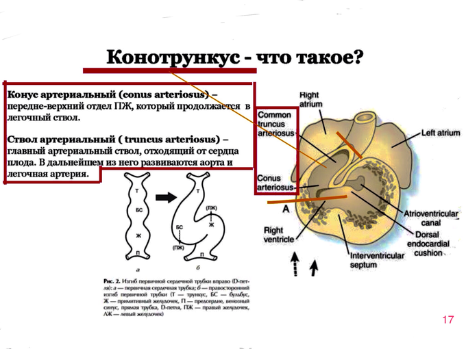 IMG_0601.PNG