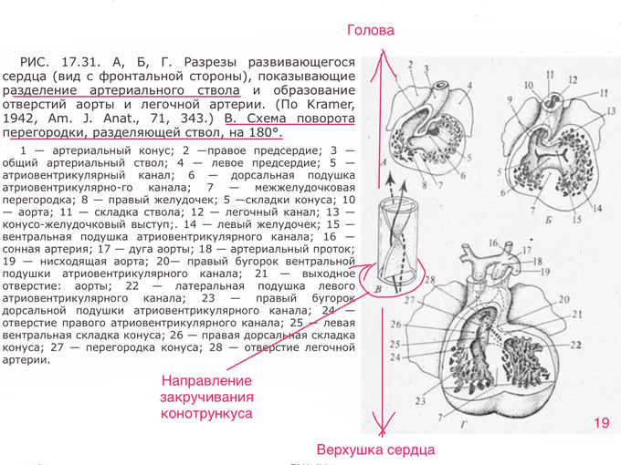 IMG_0603.PNG