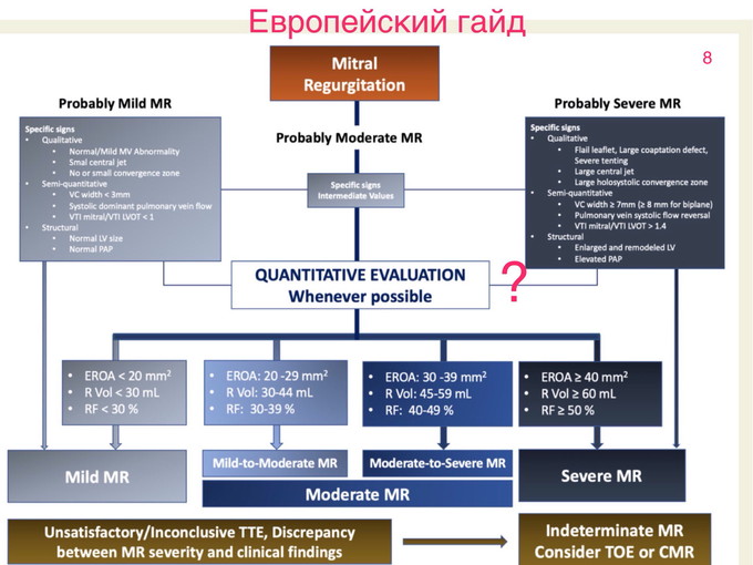 IMG_0606.PNG