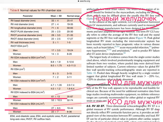 IMG_0711.PNG