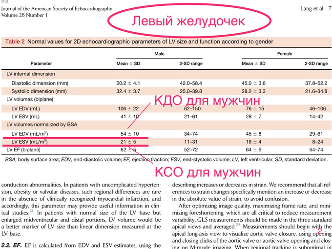 IMG_0712.PNG