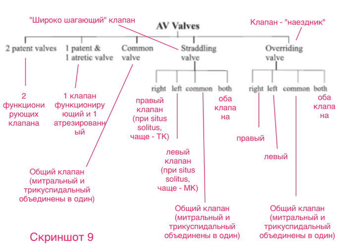 Что такое situs solitus. Смотреть фото Что такое situs solitus. Смотреть картинку Что такое situs solitus. Картинка про Что такое situs solitus. Фото Что такое situs solitus