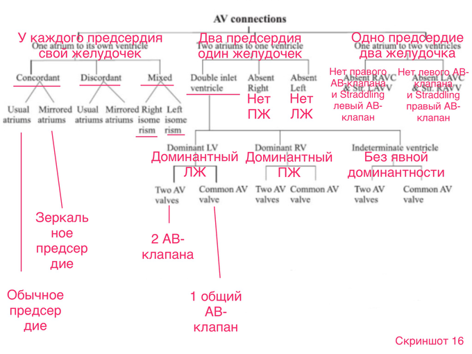 Что такое situs solitus. Смотреть фото Что такое situs solitus. Смотреть картинку Что такое situs solitus. Картинка про Что такое situs solitus. Фото Что такое situs solitus