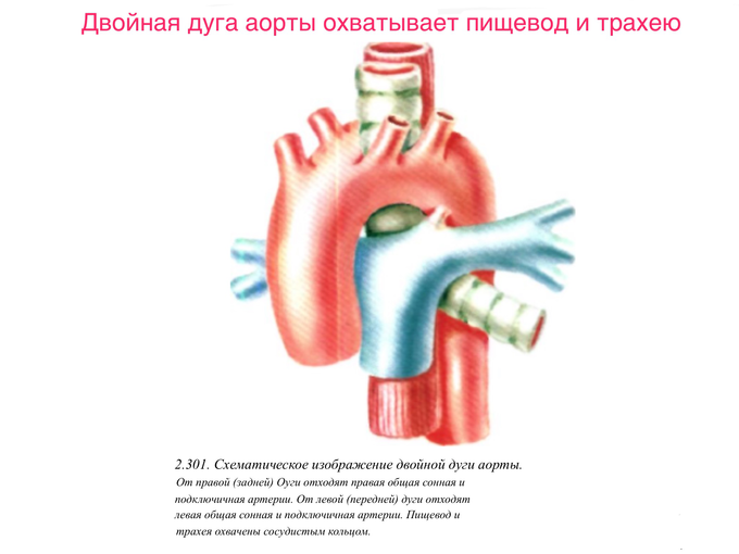 IMG_1136.PNG