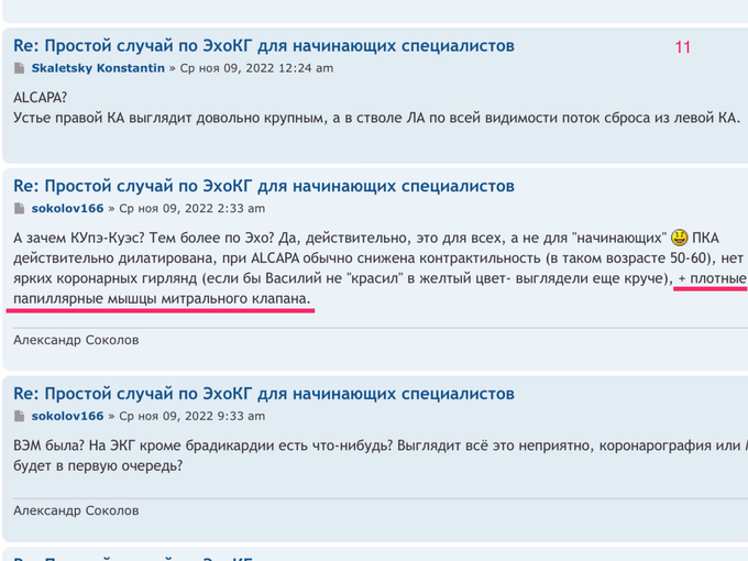 IMG_1500.PNG