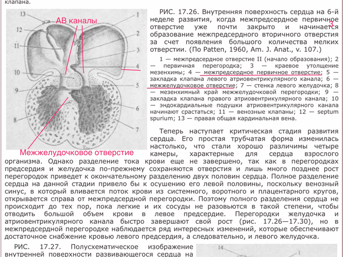 IMG_1584.PNG