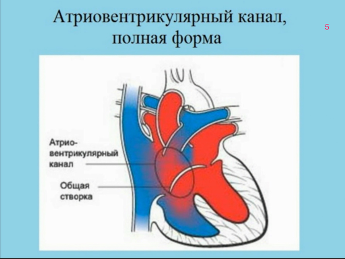 IMG_1586.PNG