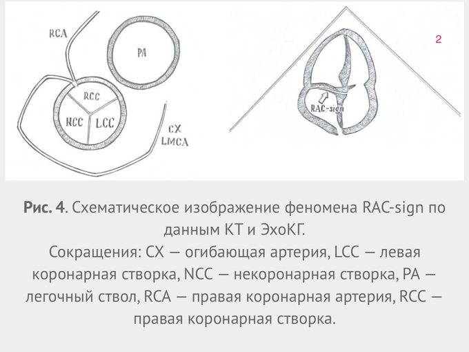 IMG_1798.PNG