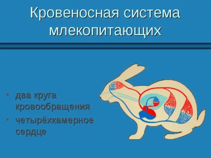 Дефект гербоде что это. Смотреть фото Дефект гербоде что это. Смотреть картинку Дефект гербоде что это. Картинка про Дефект гербоде что это. Фото Дефект гербоде что это