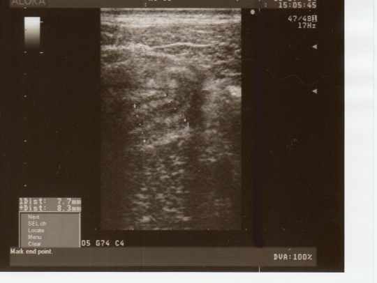 Image3.jpg