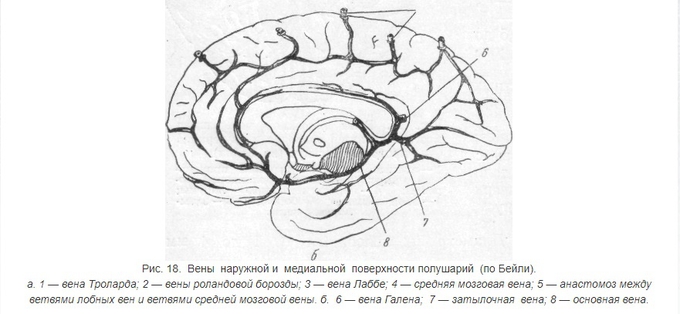 %D0%B3%D0%B0%D0%BB%D0%B5%D0%BD%D0%B021.j